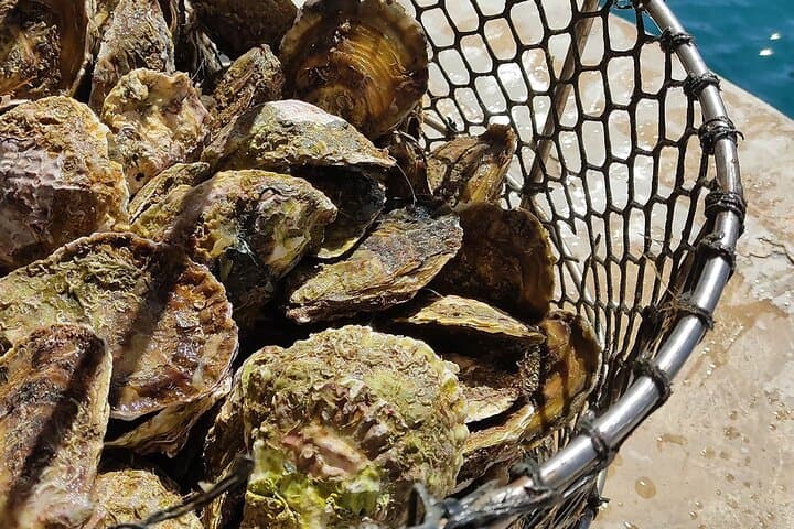 Private Oyster and Wine Tasting with Scenic Boat Ride in Mali Ston photo 6