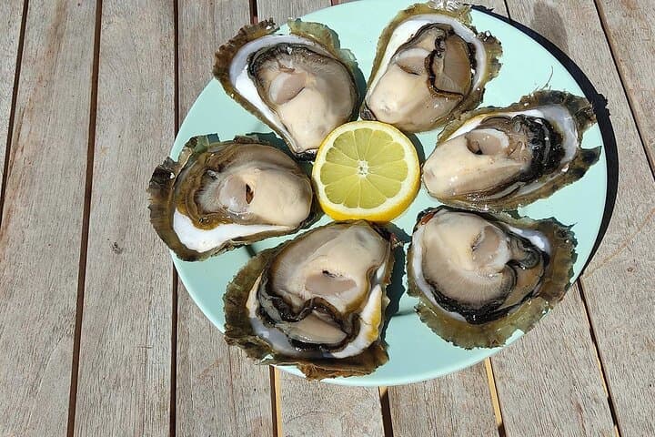 Private Oyster and Wine Tasting with Scenic Boat Ride in Mali Ston