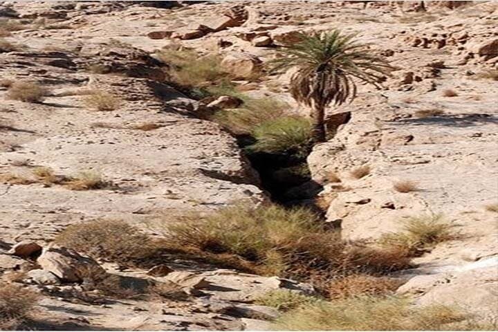 Hiking the Wadi Mujib Ibex Trail: Dead Sea Views from Amman photo 5