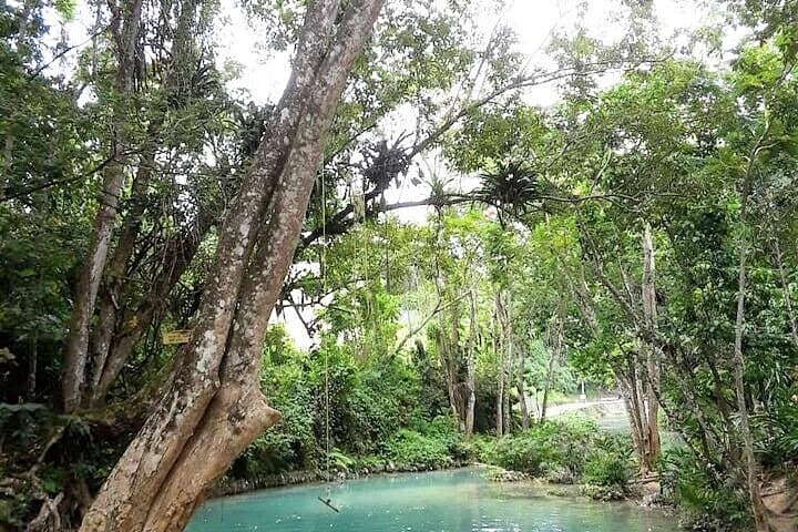 Climb Dunn's River Falls and Swim the Blue Hole — Daytrip from Montego Bay