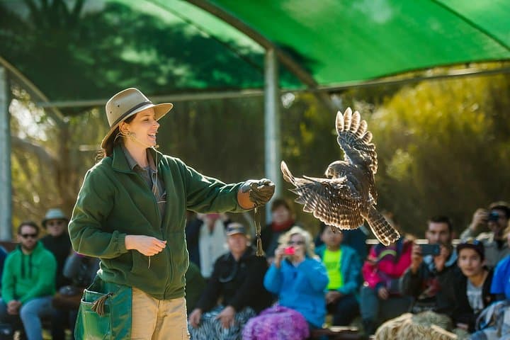 Full-Day Kangaroo Island Sip and See Tour: Wildlife, Wine & Local Producers photo 2