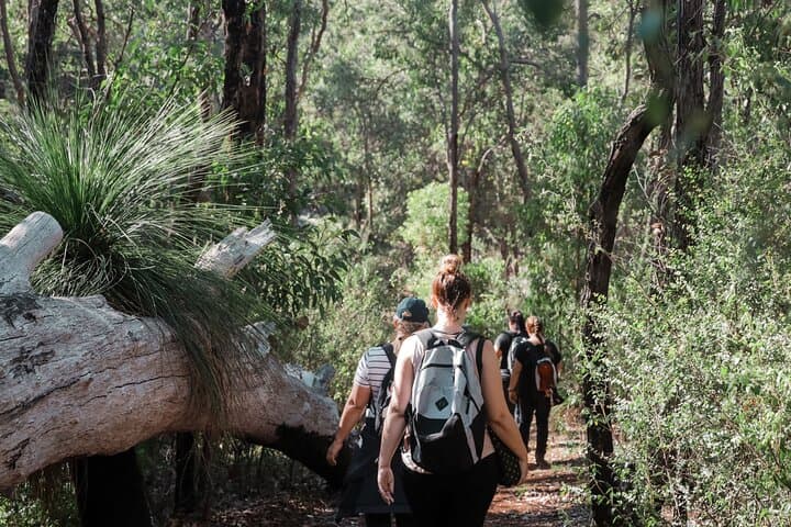 Hidden Secrets of Araluen: Guided Hike Through Perth Hills Botanic Park photo 4