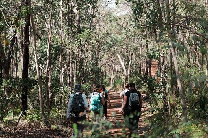 Hidden Secrets of Araluen: Guided Hike Through Perth Hills Botanic Park photo 2