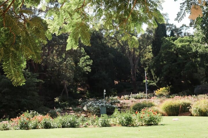 Hidden Secrets of Araluen: Guided Hike Through Perth Hills Botanic Park photo 5