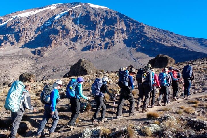 2-Day Short Kilimanjaro Trek: Mandara Hut & Moorland Views on the Marangu Route photo 2