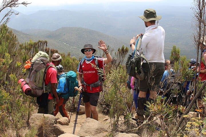 2-Day Short Kilimanjaro Trek: Mandara Hut & Moorland Views on the Marangu Route photo 3