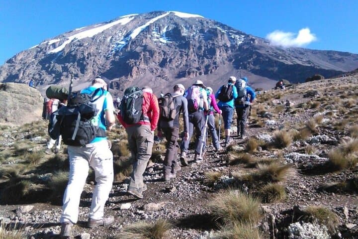 2-Day Short Kilimanjaro Trek: Mandara Hut & Moorland Views on the Marangu Route photo 4