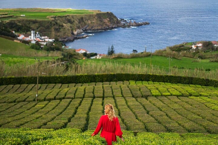 Furnas Volcano, Geysers & Terra Nostra: A 5‑Hour Day Tour from Ponta Delgada