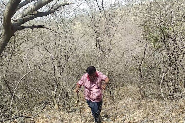 Jaipur Sunrise Treks: Guided 3-Hour Hikes from Gurjar Gathi photo 6