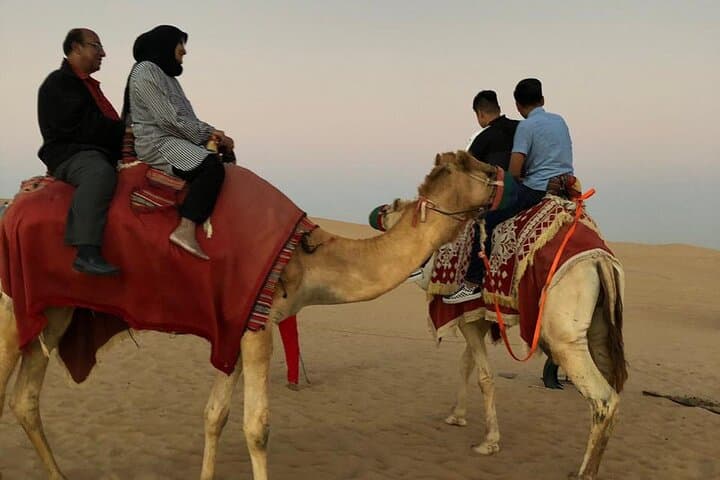 Dubai Red Dune Desert Safari: Evening Dune Bashing, Bedouin Camp & BBQ photo 6