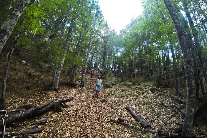Waterfall Siga Hiking: 4-Hour Guided Trek to Montenegro's Hidden Falls photo 3
