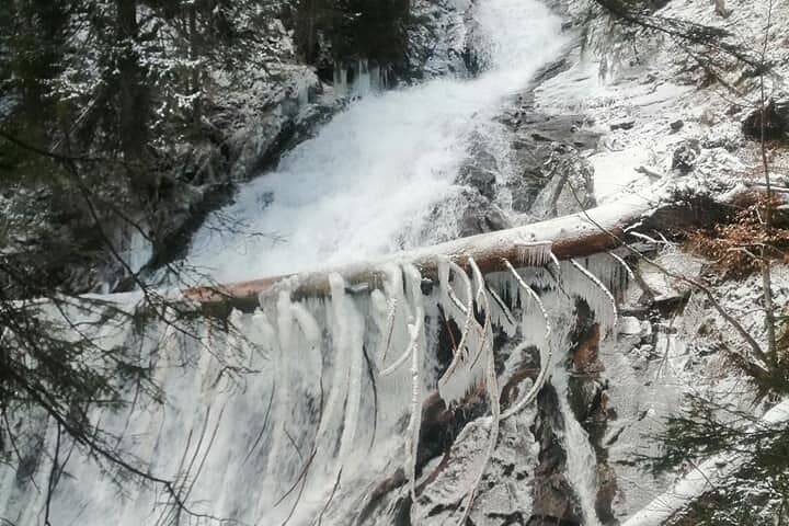 Horseback to the Cascades: 2-Hour Smolyan Waterfall Ride in the Rhodope Mountains photo 3