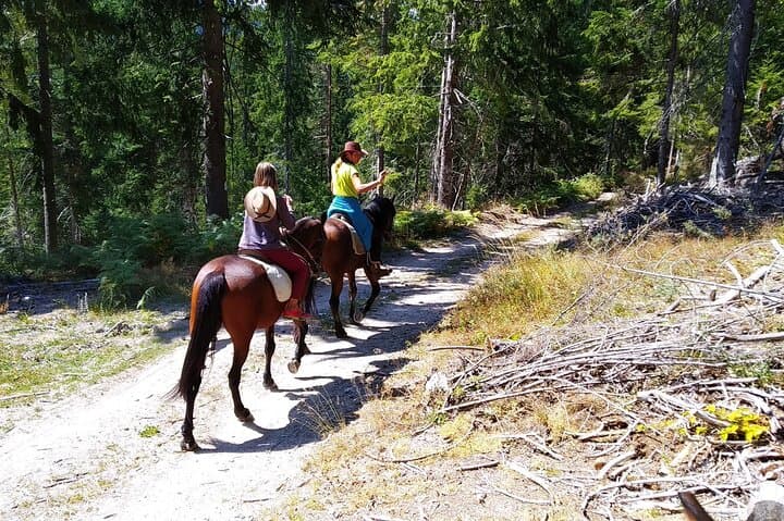 Horseback to the Cascades: 2-Hour Smolyan Waterfall Ride in the Rhodope Mountains