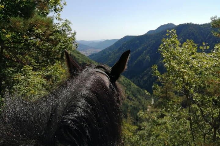Horseback to the Cascades: 2-Hour Smolyan Waterfall Ride in the Rhodope Mountains photo 5