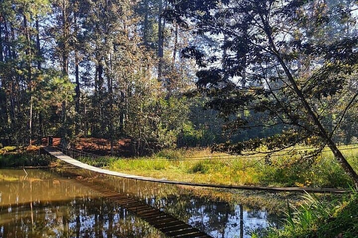 Cobán Coffee Plantation and Orchid Sanctuary: Full-Day Cultural & Nature Tour photo 2