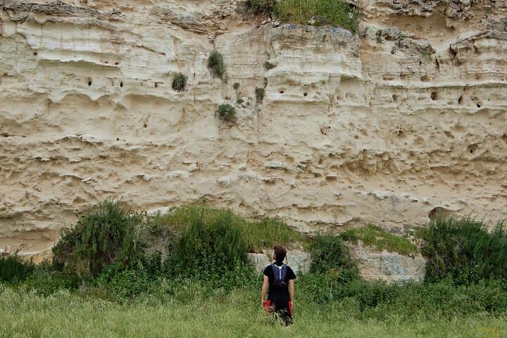 Path of the Cliffs: Torre Olivieri Coastal Walk & Bee-Eater Bay photo 4