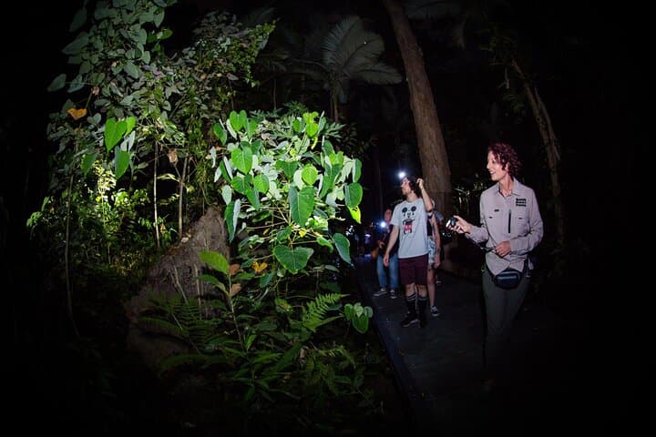 Night Macro Photography Walk — Cairns Botanic Gardens After Dark photo 4