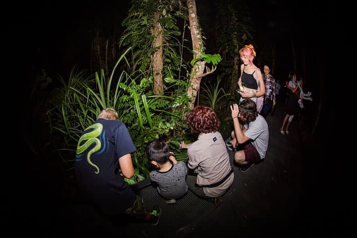 Night Macro Photography Walk — Cairns Botanic Gardens After Dark photo 6