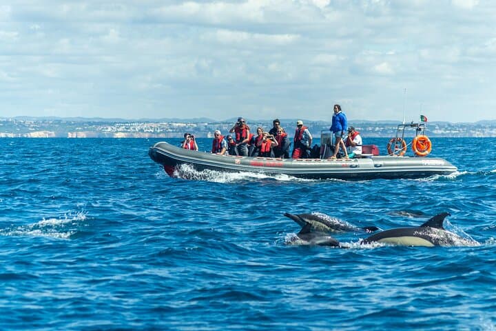 Benagil Caves & Dolphin RIB Tour — High-Speed Boat Adventure from Albufeira photo 1