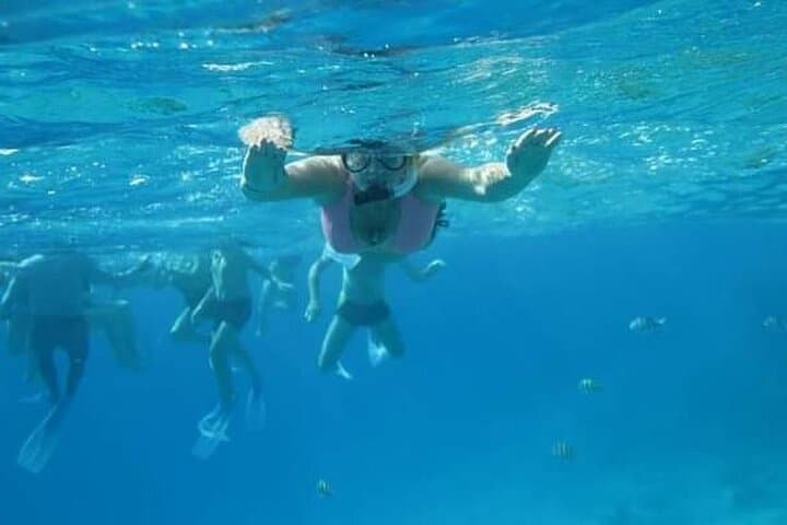 Red Sea One-Day Dive, Snorkel & Island Trip from Hurghada photo 4