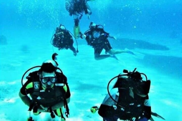 Red Sea One-Day Dive, Snorkel & Island Trip from Hurghada photo 5