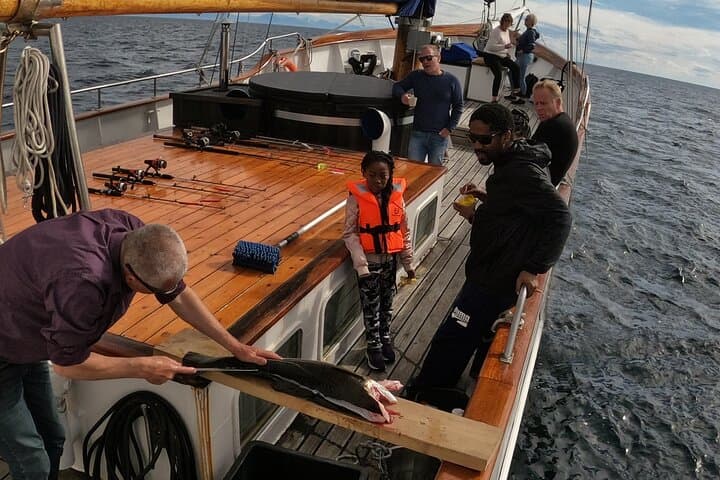 Tromsø Sea-to-Table Fishing: Small-Group Arctic Yacht Experience photo 3