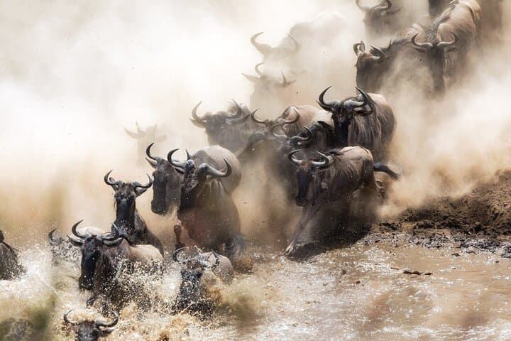 Three-Day Private Maasai Mara Safari from Nairobi — Big Five, Migration & Maasai Culture