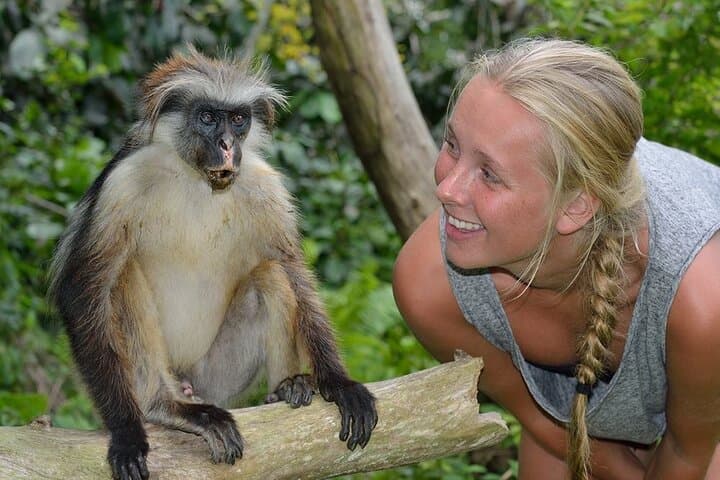 Half-Day Guided Tour of Jozani Forest Reserve — See Zanzibar's Red Colobus