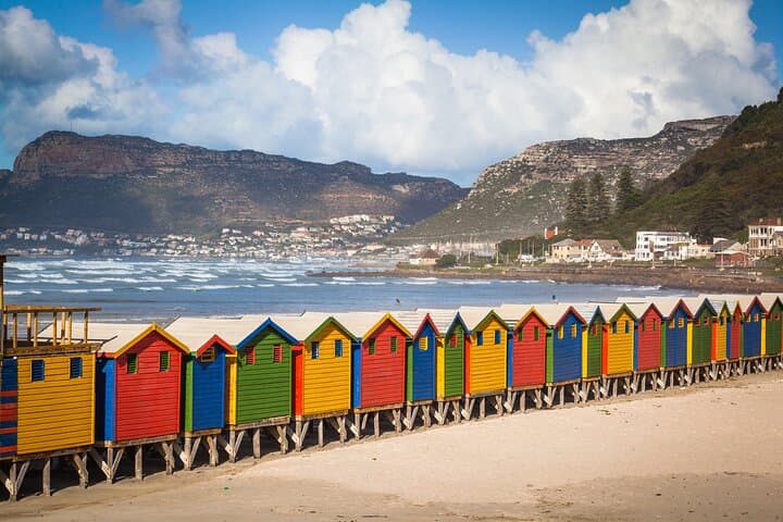 Cape Point to Penguins: Full-Day Cape Peninsula Small-Group Tour from Cape Town photo 4