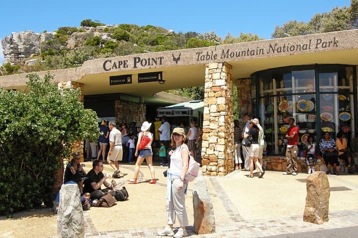 Cape Point to Penguins: Full-Day Cape Peninsula Small-Group Tour from Cape Town photo 5
