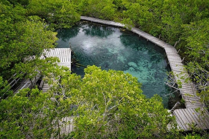 Holbox Three-Island Boat Tour: Isla Pájaros, Isla Pasión & Yalahau Cenote photo 3