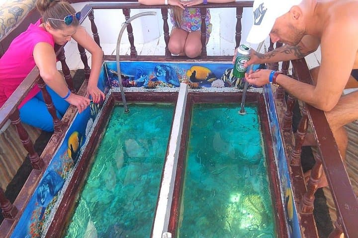 Private Boat Snorkeling from Hurghada — Red Sea Snorkel & Glass‑Bottom Boat photo 3