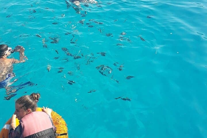 Hurghada One-Day Boat Diving Trip — Two Shallow Dives on Red Sea Reefs photo 4