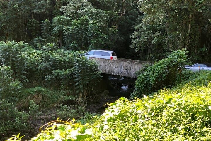 Private Full-Circle Reverse Road to Hana: Luxury Tour from South Maui photo 5