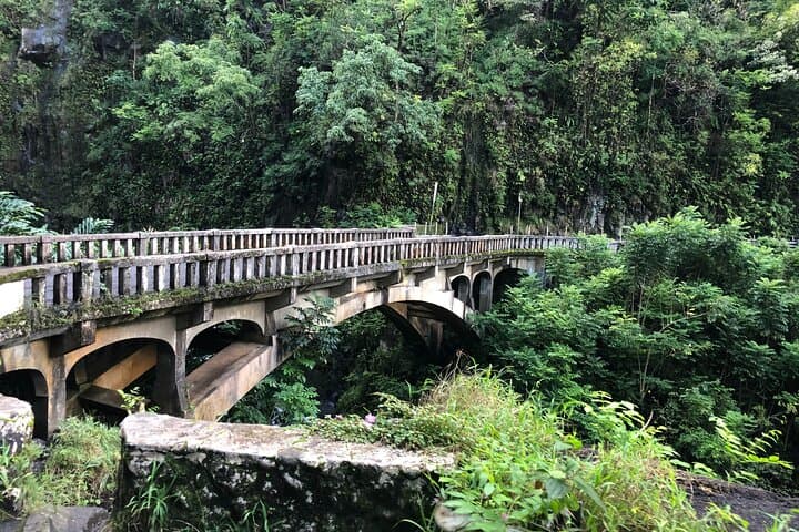 Private Full-Circle Reverse Road to Hana: Luxury Tour from South Maui photo 6