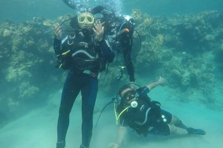 Hurghada One-Day Boat Diving Trip — Two Shallow Dives on Red Sea Reefs photo 3