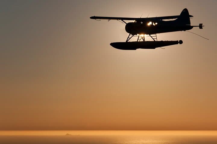 San Francisco Sunset Champagne Seaplane Tour Over the Golden Gate & Alcatraz photo 4