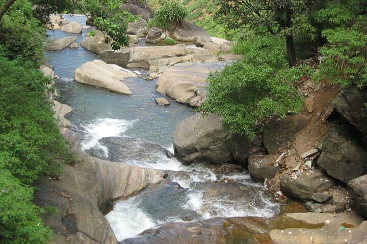 Village Lifestyle: 4-Day Cultural & Nature Tour from Sigiriya to Nuwara Eliya photo 4