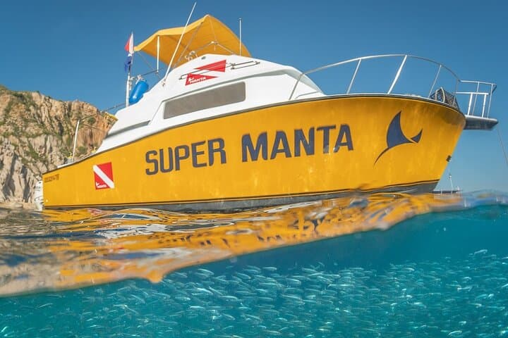 Cabo San Lucas 2-Tank Dive: Explore Pelican Rock, Sand Falls & Sea Lions photo 2