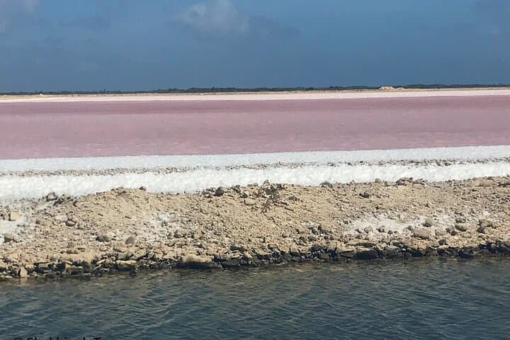 Explore Bonaire: North and South Island Tour with Beach Time and a Local Local Guide photo 6