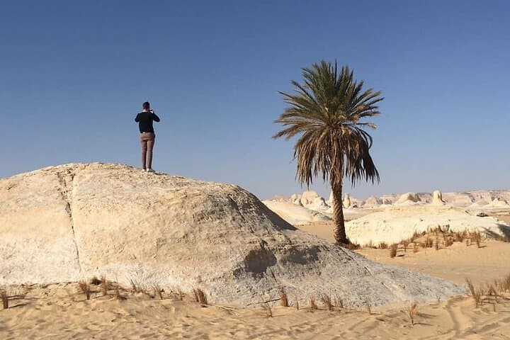 Full-Day White & Black Desert Tour from Cairo — Bahariya Oasis, Crystal Mountain & Volcanic Mounds photo 5