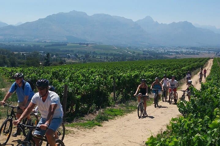 Cycle and Sip on Etna: Wine Tasting Bike Tour from Catania to Castiglione di Sicilia