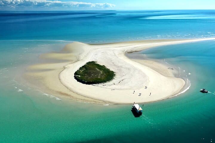 Turtle Discovery: Great Sandy Marine Park Glass-Bottom Cruise from Hervey Bay photo 5