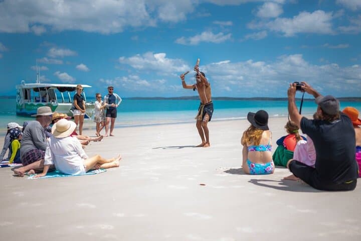 Turtle Discovery: Great Sandy Marine Park Glass-Bottom Cruise from Hervey Bay photo 3