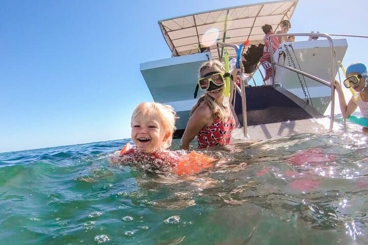 Turtle Discovery: Great Sandy Marine Park Glass-Bottom Cruise from Hervey Bay photo 4