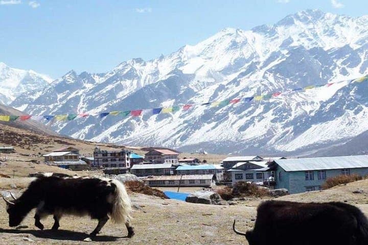 Langtang Valley Trek: Kyangjin Gompa, Tserko Ri Sunrise & Tamang Heritage photo 3