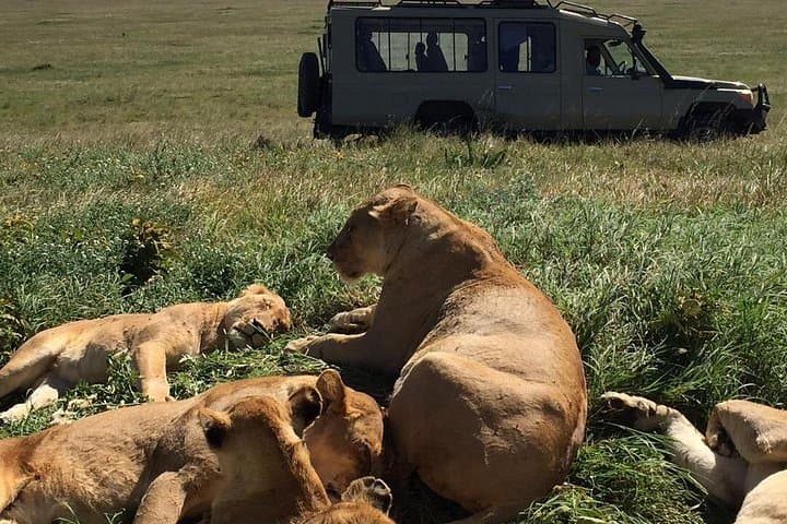 4-Day Serengeti, Ngorongoro & Tarangire Camping Safari from Arusha photo 4