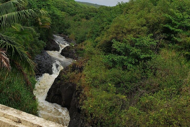 Reverse Road to Hana Luxury Tour from South Maui — Full-Circle Hana Experience photo 5