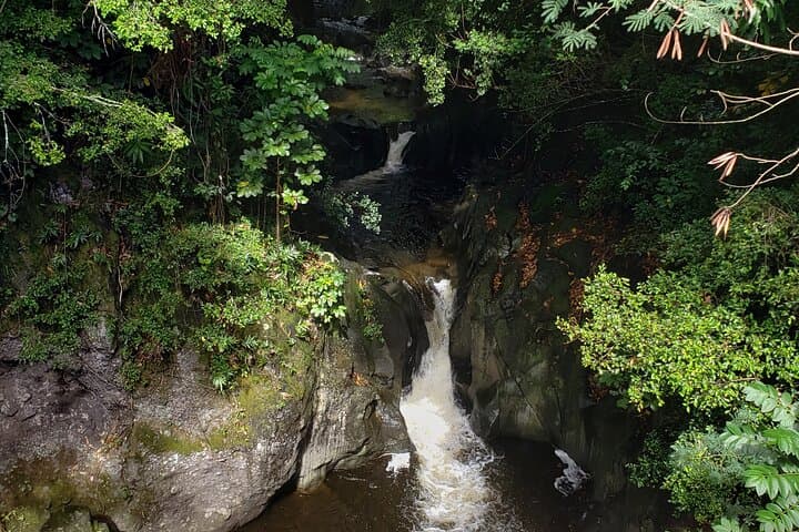 Reverse Road to Hana Luxury Tour from South Maui — Full-Circle Hana Experience photo 3
