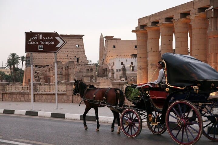 Luxor Horse Carriage Corniche Tour — Private 2‑Hour City Ride
